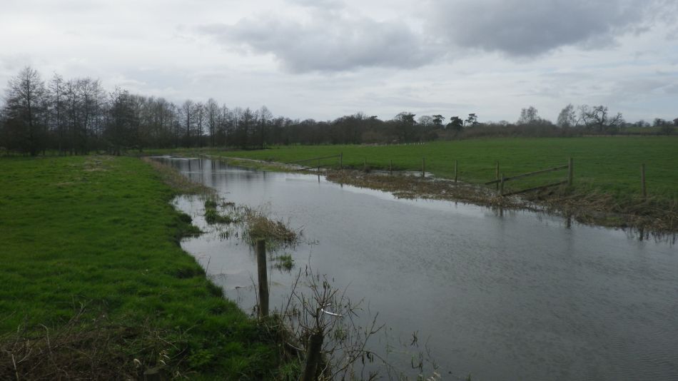 2020-03-08 19 Billingford Eye and Dove.jpg