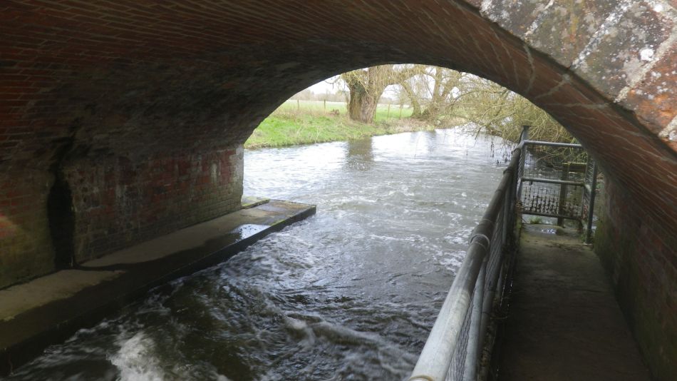 2020-03-08 21 Billingford Eye and Dove.jpg