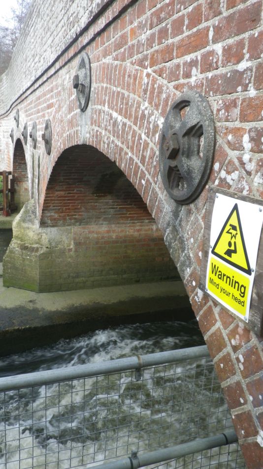 2020-03-08 22 Billingford Eye and Dove.jpg