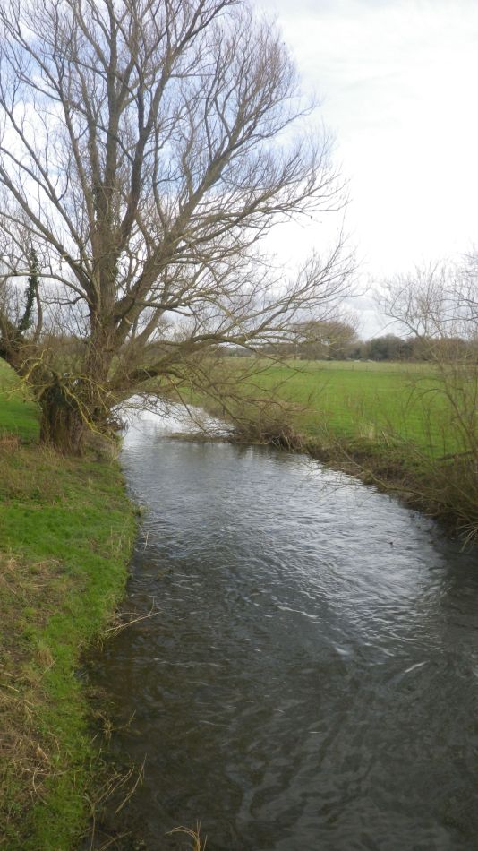 2020-03-08 23 Billingford Eye and Dove.jpg