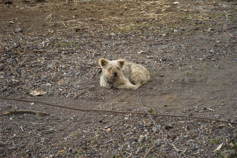 2020-01-09 05 Tenerife.jpg