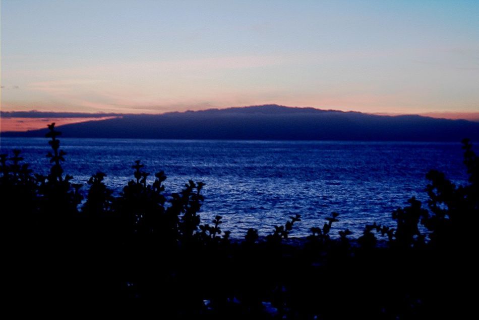 2020-01-09 08 Tenerife.jpg