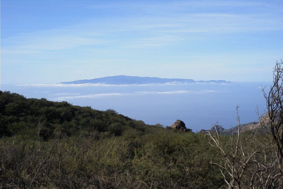 2020-01-09 09 Tenerife.jpg