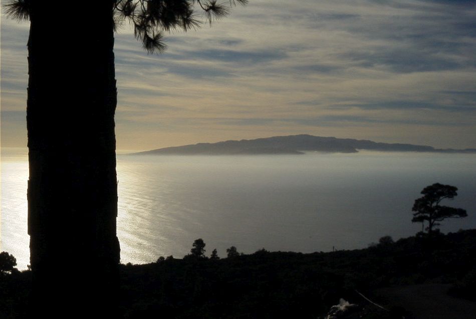 2020-01-09 11 Tenerife.jpg