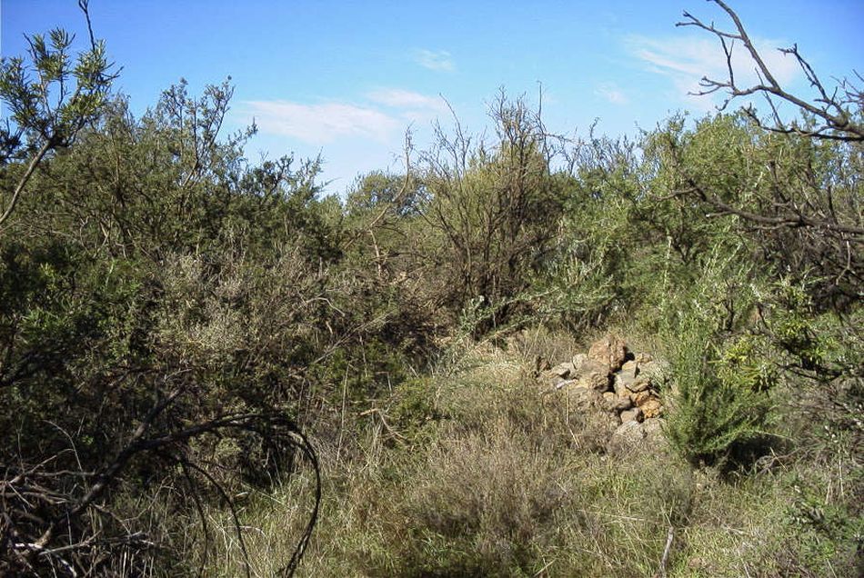 2020-01-09 12 Tenerife.jpg