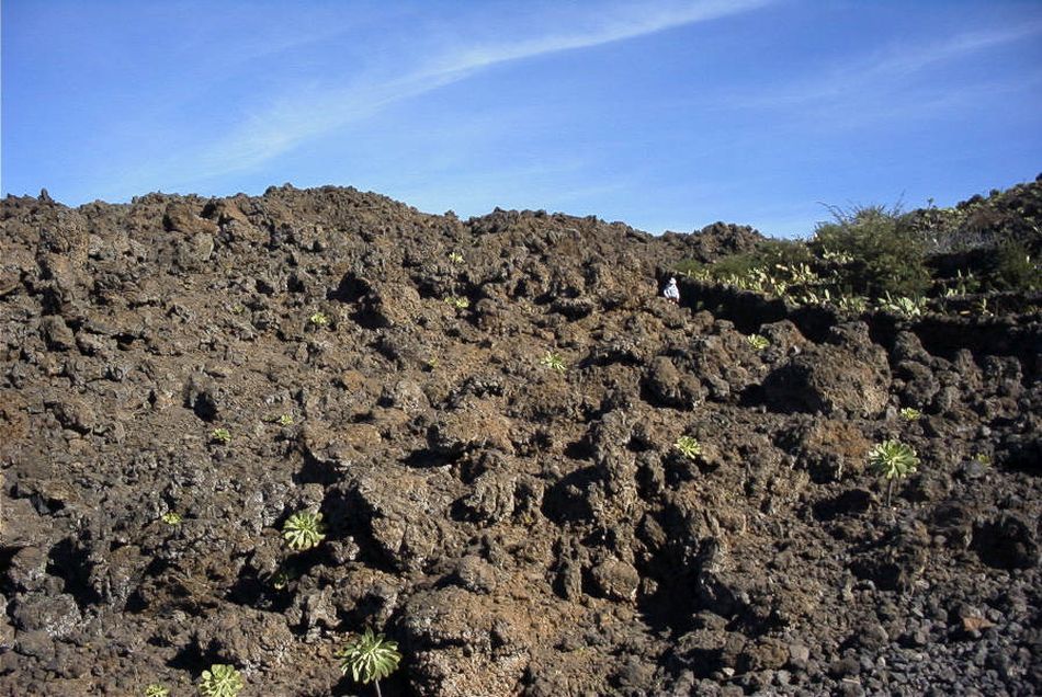 2020-01-09 14 Tenerife.jpg