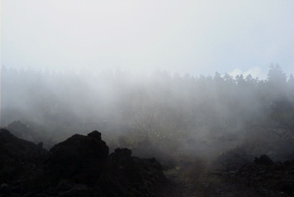 2020-01-09 21 Tenerife.jpg