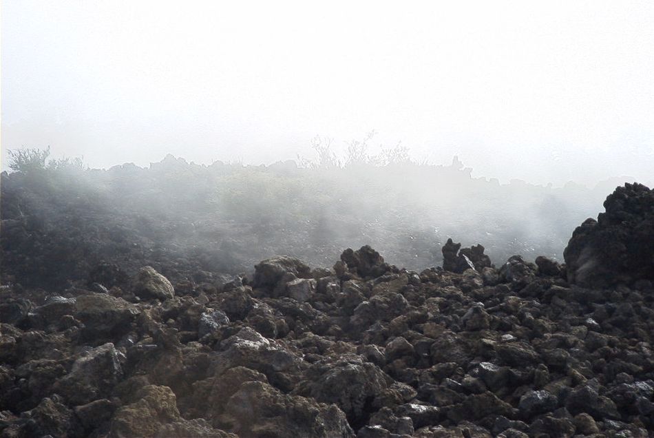 2020-01-09 22 Tenerife.jpg