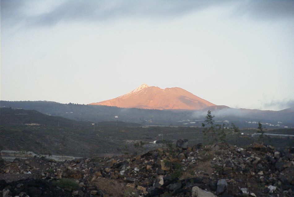 2020-01-09 23 Tenerife.jpg