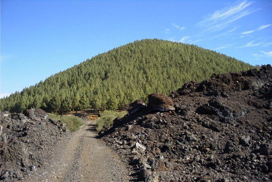 2020-01-09 25 Tenerife.jpg