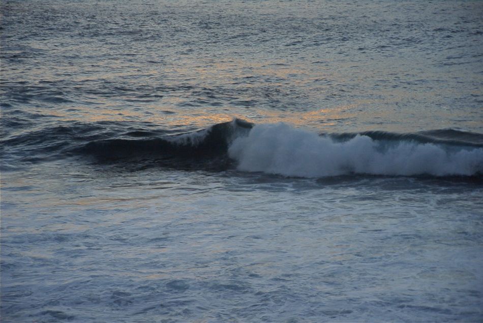 2020-01-09 31 Tenerife.jpg