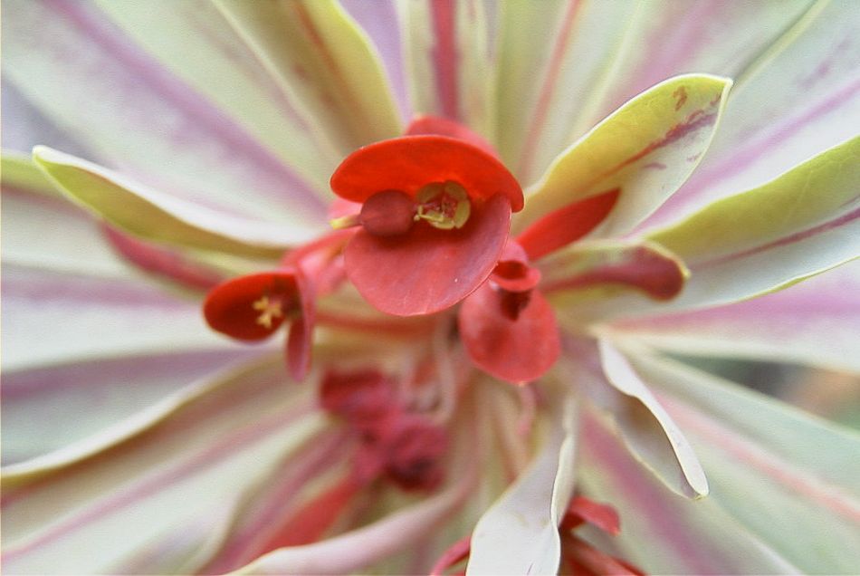 2020-01-09 39 Tenerife.jpg