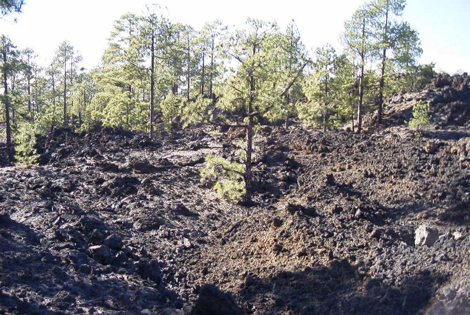 2020-01-09 42 Tenerife.jpg