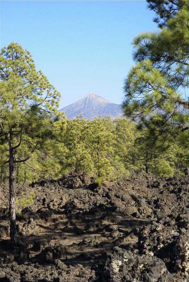 2020-01-09 44 Tenerife.jpg