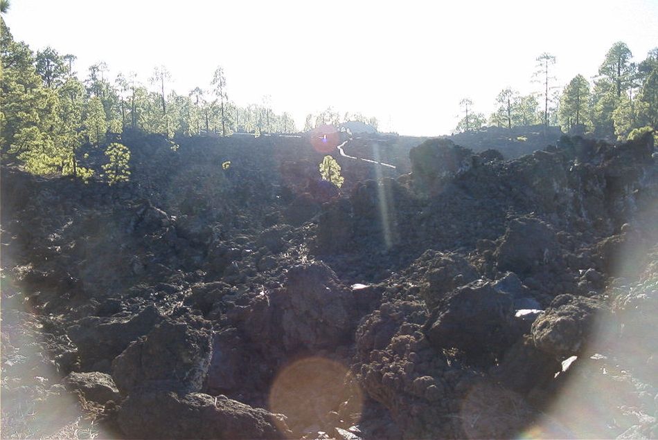 2020-01-09 46 Tenerife.jpg