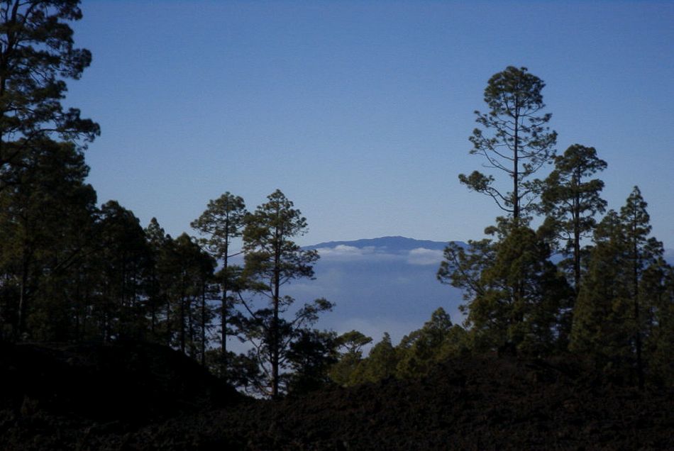 2020-01-09 47 Tenerife.jpg