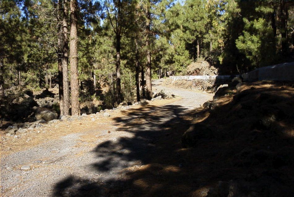 2020-01-09 49 Tenerife.jpg