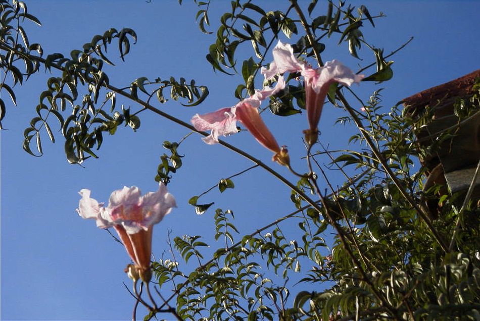 2020-01-09 53 Tenerife.jpg