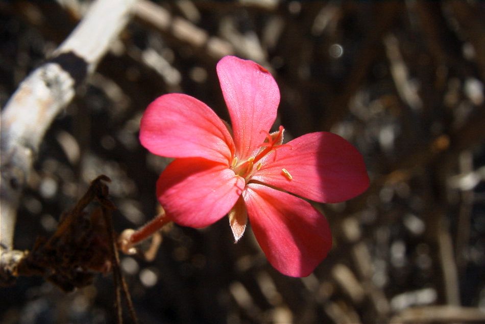 2020-01-09 54 Tenerife.jpg