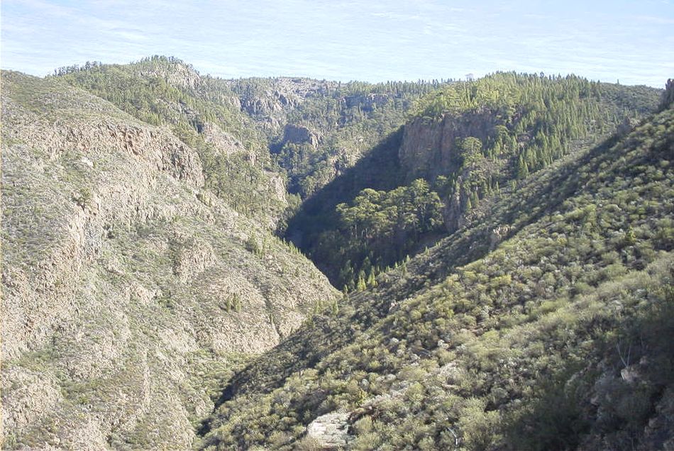 2020-01-09 55 Tenerife.jpg