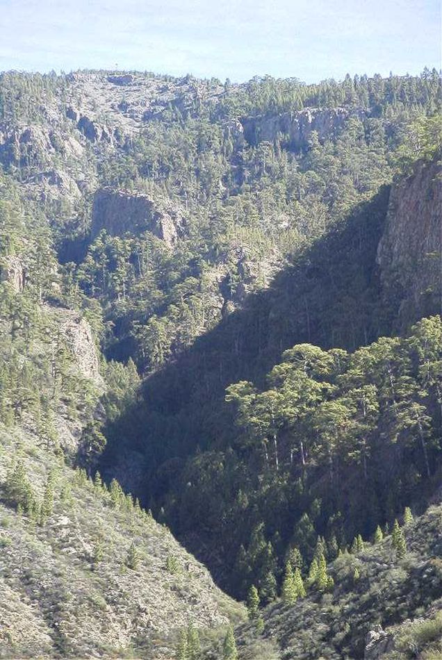 2020-01-09 56 Tenerife.jpg