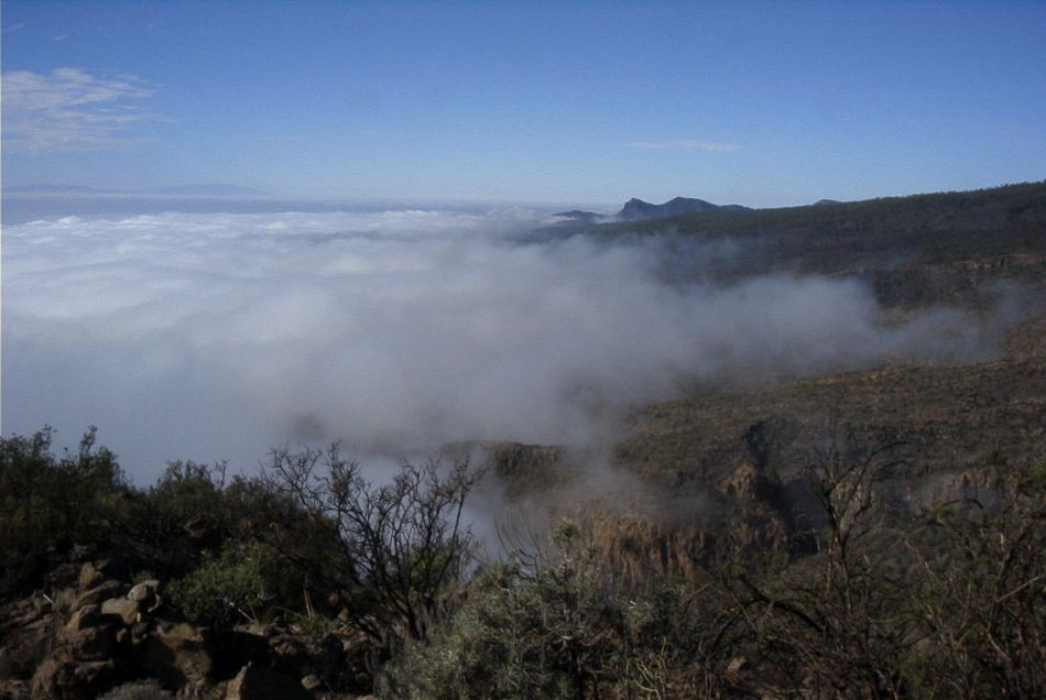 2020-01-09 57 Tenerife.jpg