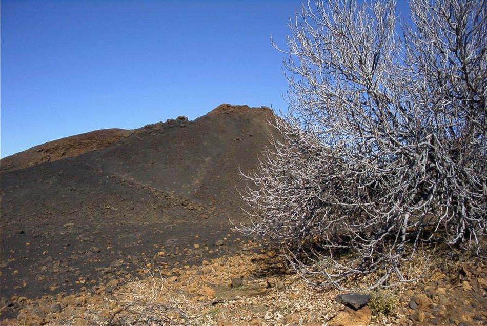 2020-01-09 58 Tenerife.jpg