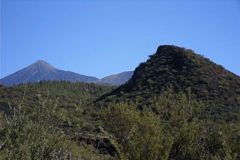 2020-01-09 61 Tenerife.jpg