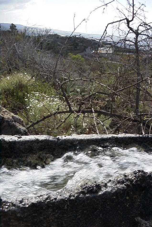 2020-01-09 70 Tenerife.jpg