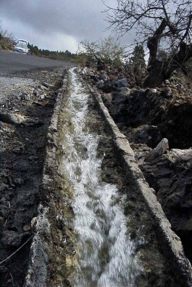 2020-01-09 71 Tenerife.jpg