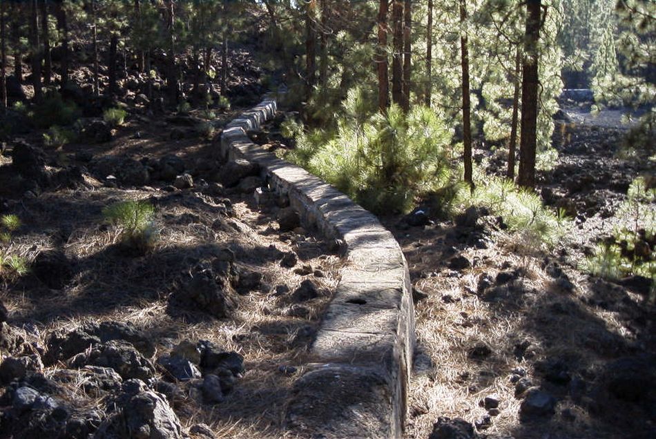 2020-01-09 72 Tenerife.jpg