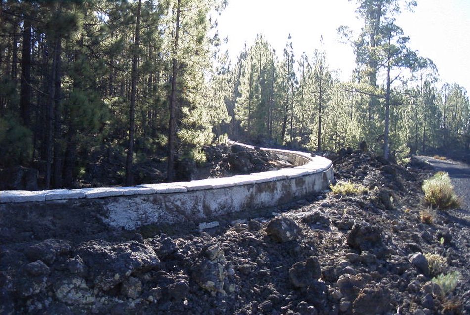 2020-01-09 73 Tenerife.jpg