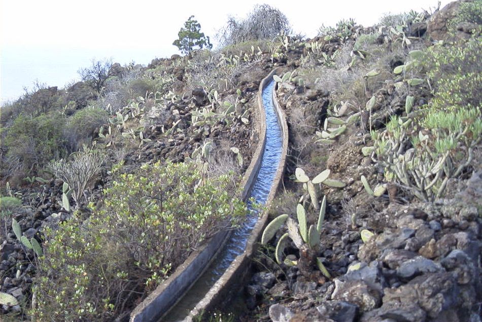 2020-01-09 74 Tenerife.jpg