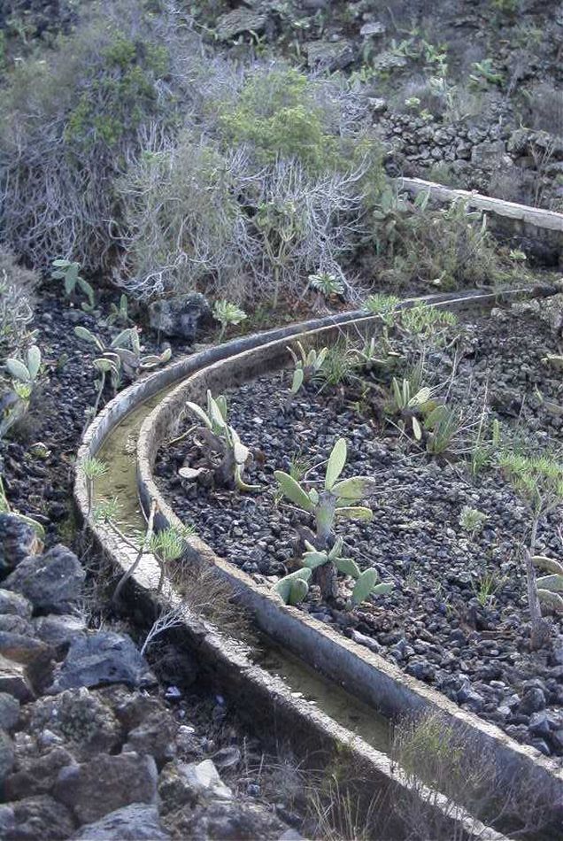 2020-01-09 75 Tenerife.jpg