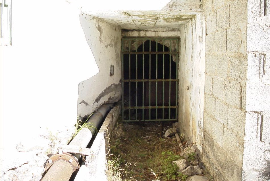 2020-01-09 77 Tenerife.jpg