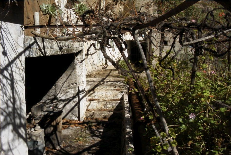 2020-01-09 80 Tenerife.jpg