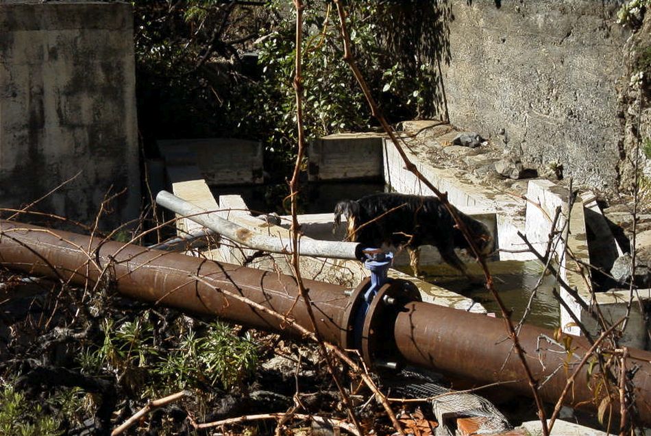 2020-01-09 82 Tenerife.jpg