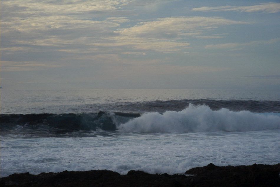 2020-01-09 91 Tenerife.jpg