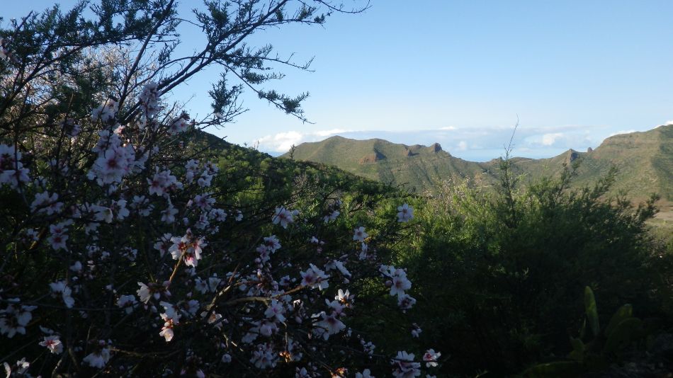 2020-01-23 02 Walk 14 Valle de Arriba Mt Bilma Chio Guia.jpg