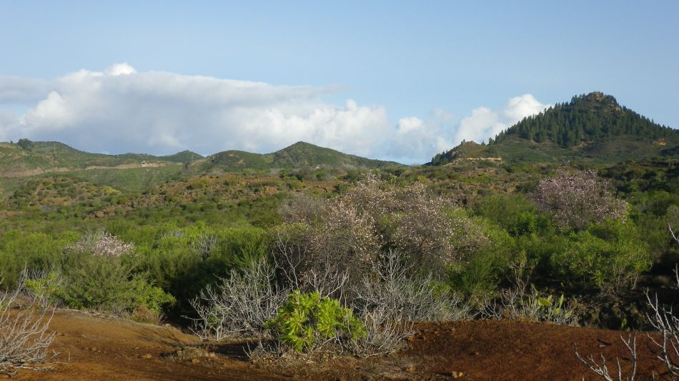 2020-01-23 05 Walk 14 Valle de Arriba Mt Bilma Chio Guia.jpg