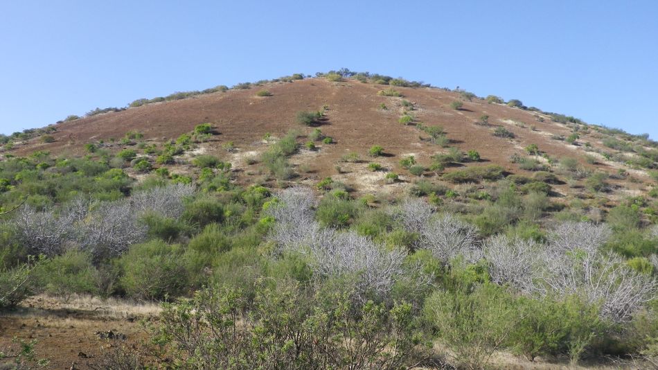 2020-01-23 11 Walk 14 Valle de Arriba Mt Bilma Chio Guia.jpg