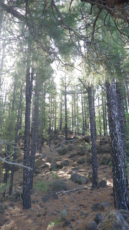 2020-01-23 16 Walk 14 Valle de Arriba Mt Bilma Chio Guia.jpg