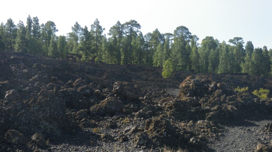 2020-01-23 17 Walk 14 Valle de Arriba Mt Bilma Chio Guia.jpg