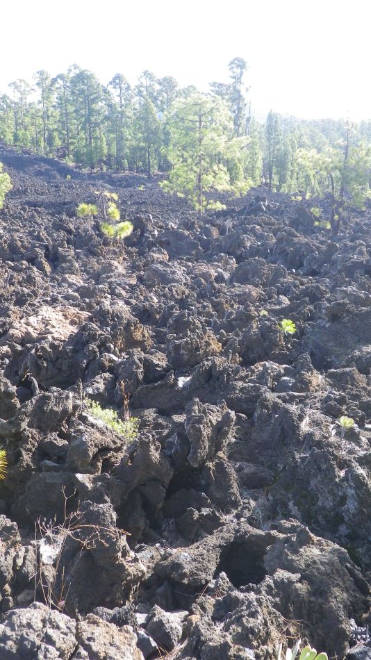 2020-01-23 19 Walk 14 Valle de Arriba Mt Bilma Chio Guia.jpg