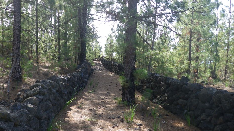 2020-01-23 20 Walk 14 Valle de Arriba Mt Bilma Chio Guia.jpg