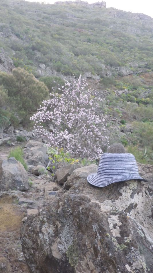 2020-01-29 09 Walk 19 Lost Hat.jpg