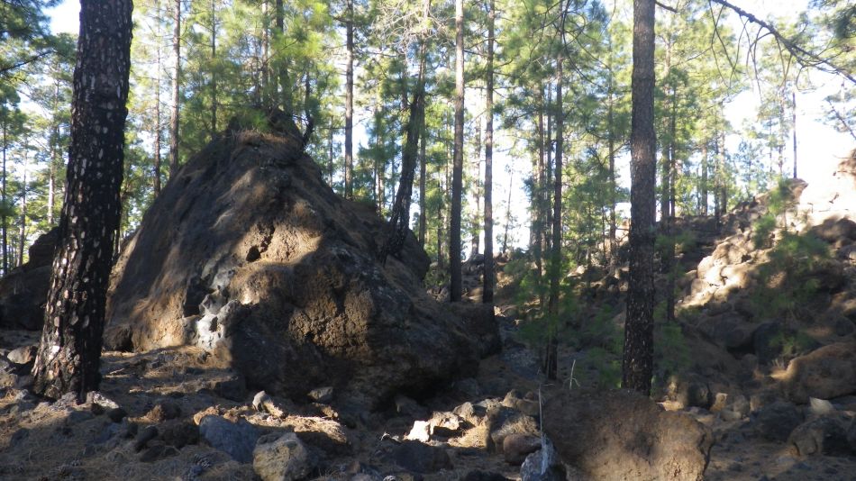 2020-02-03 03 Walk 22 La Ermita Galeria Chio Guia.jpg