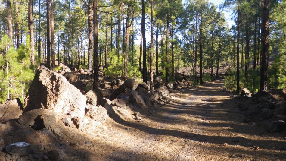 2020-02-03 04 Walk 22 La Ermita Galeria Chio Guia.jpg