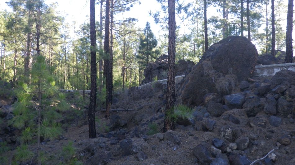 2020-02-03 05 Walk 22 La Ermita Galeria Chio Guia.jpg