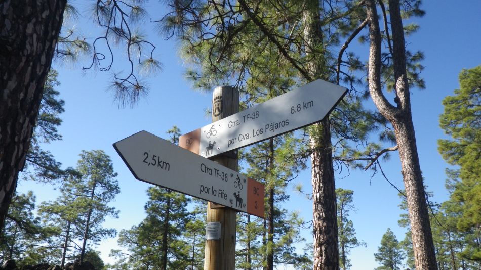 2020-02-03 07 Walk 22 La Ermita Galeria Chio Guia.jpg